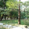 隹里中山公園