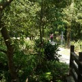嘉義植物園