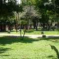 嘉義公園