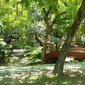 嘉義公園