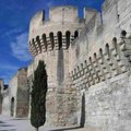Avignon環著舊城的城牆和高塔,可以看出當時的戰略地位重要