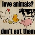 don't eat animals