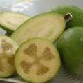 Feijoa