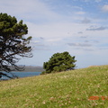 On the Top of North Head, Devonport