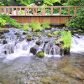 日本名水公園