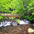 日本名水公園