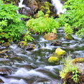 日本名水公園