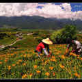 花蓮縣富里鄉六十石山