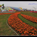 十、2010台北國際花卉博覽會 - 5