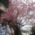 櫻花樹下三人合照