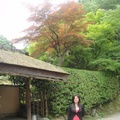 京都Westin旅館的庭園