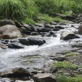 林道旁清澈的溪水   水源充沛