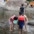 小孩子們玩水的玩水  捉蝦撈魚的撈魚