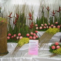 2010年士林官邸菊花宴 - 1