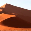 美麗的沙丘曲線，是風的傑作。（Sense of Africa／提供）