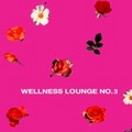 Wellness Lounge 3