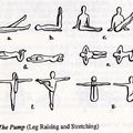 Yoga Warm-Ups (flexing), The Pump (leg raising and stretching)