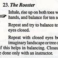 Yoga Warm-ups (creative visualization)-The Rooster
