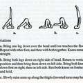 Basic Yoga Postures-Shoulder Stand Variations