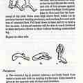 Basic Yoga Posture - Head Knee Pose