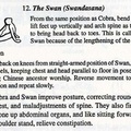 Basic Yoga Posture - The Swan