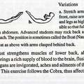 Basic Yoga Posture - The Locust Variations