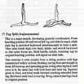 Basic Yoga Posture - Leg Split