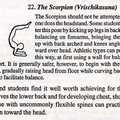 Basic Yoga Posture - The Scorpion
