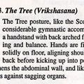 Basic Yoga Posture - The Tree