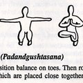 Basic Yoga Posture - Toe Balance