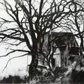 Like a maze of spider webs, the trees in the foreground were used to give a mysterious mood. The house is the remaining portion of a large land grant by President Benjamin Harrison and, at the time Burns found it, was inhabited by a hermit.