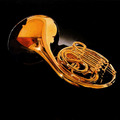Derek McGowan, Baltimore, USA, Orchestra Series French Horn, oil, 30 x 24