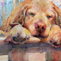 Sleep Dog, Kim Johnson (http://www.kj-art.com/)
