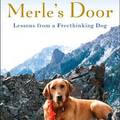 Merle‘s Door。 What a handsome dog！ A MUST REEEAD