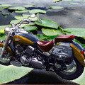 Motorcycle on the lily pond, blur & noise & light shadow