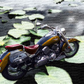Motorcycle on the lily pond, background textured