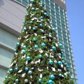101 門前聖誕樹