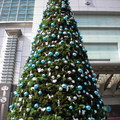 101 門前聖誕樹
