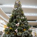101 內 頂樓OMEGA聖誕樹