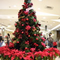 2010台北繽紛聖誕樹 - 1
