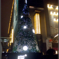 2011聖誕樹 - 5