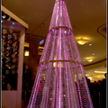 2011聖誕樹 - 1