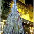 2011聖誕樹 - 1