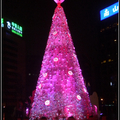 2011聖誕樹 - 3