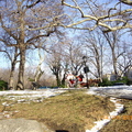 紐約中央公園冬景 - 4