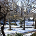 紐約中央公園冬景 - 6