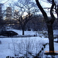 紐約中央公園冬景 - 5