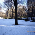 紐約中央公園冬景 - 6