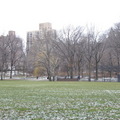紐約中央公園冬景 - 1