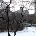 紐約中央公園冬景 - 2